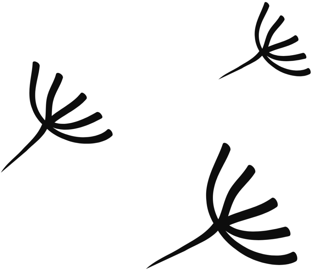 Dandelion NYC | We help good things grow